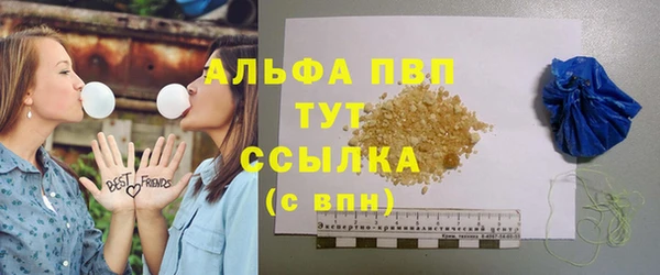 дурь Новодвинск