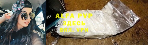 дурь Новодвинск