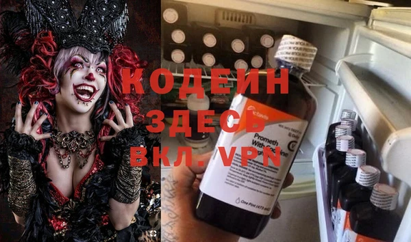 мяу мяу мука Няндома