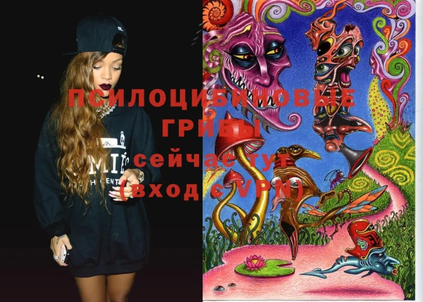 дурь Новодвинск