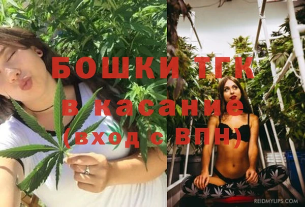 мяу мяу мука Няндома