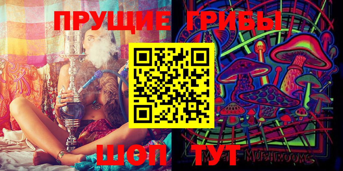 Галлюциногенные грибы Psilocybine cubensis  Заводоуковск 