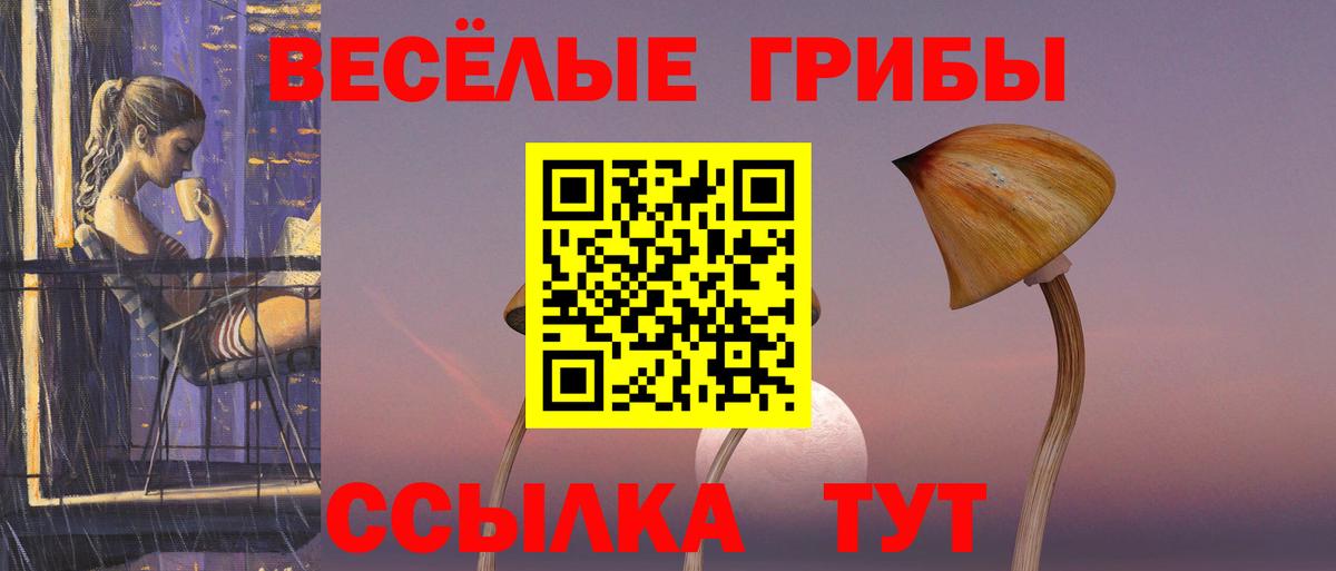 Галлюциногенные грибы Magic Shrooms Заводоуковск