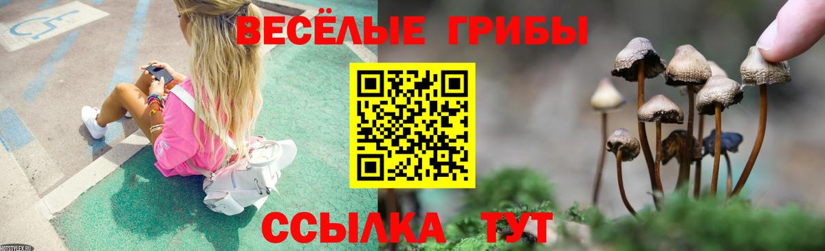  Cocaine Заводоуковск